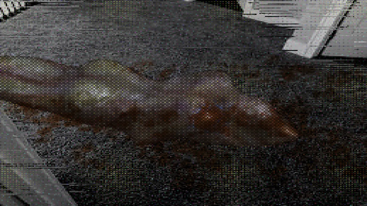 REDHAND Screenshot 0