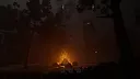 Besetmere Forest Screenshot 0