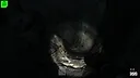 Until the last Screenshot 2