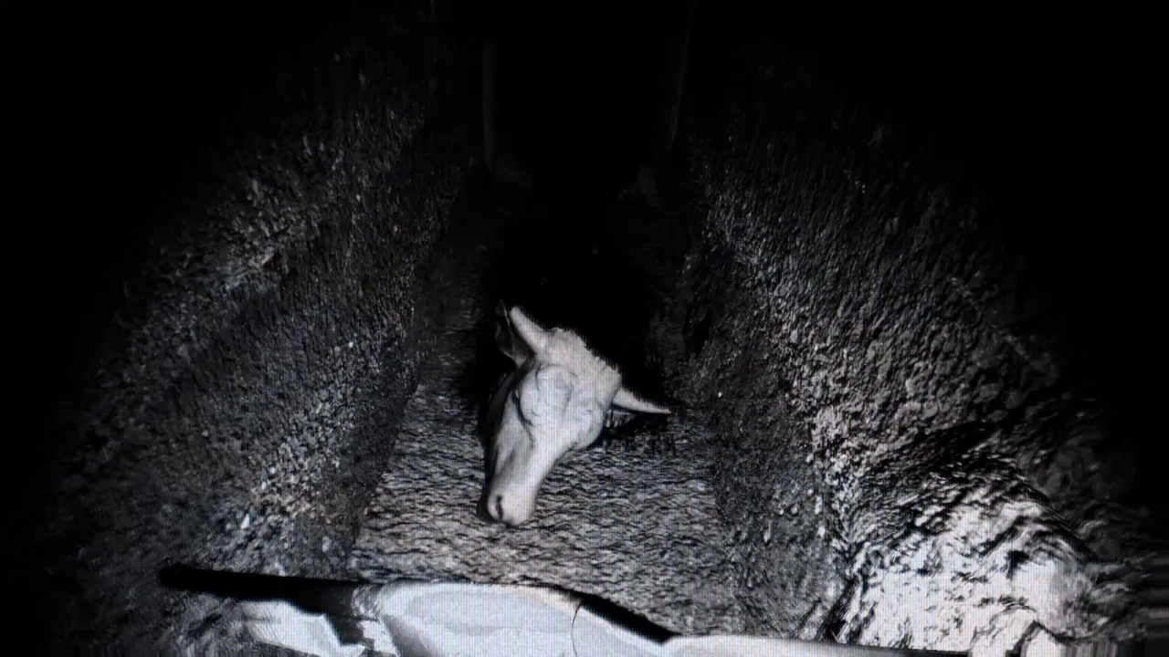 Beheaded Minotaur Screenshot 0
