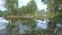 Breath of the Waters: The Angler Screenshot 10