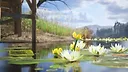 Breath of the Waters: The Angler Screenshot 3