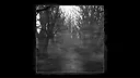 Black Helm - Desolated Forest Screenshot 0