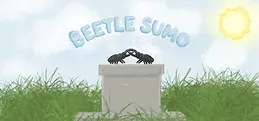 Beetle Sumo Playtest