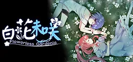 Flowerless Gardenia 白花未咲