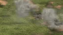 Graviteam Tactics: Leopard's Leap Screenshot 5
