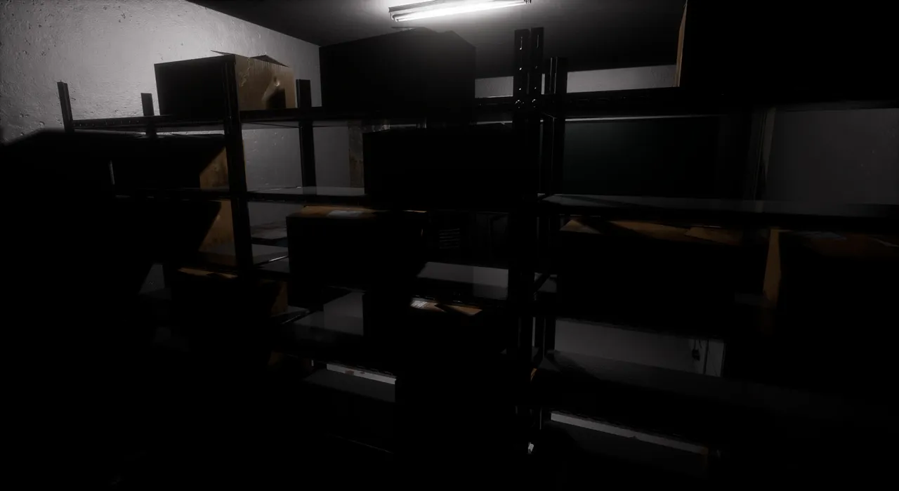 The Confined: Basement Screenshot 4