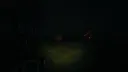 Pine Hollow Screenshot 3
