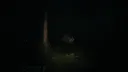 Pine Hollow Screenshot 11