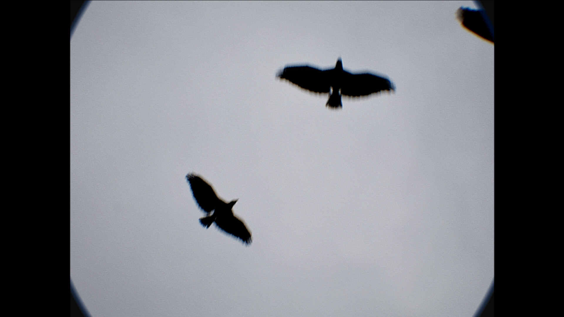 Cheap Screamer Screenshot 2