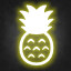🍍 icon