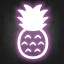 🍍 icon