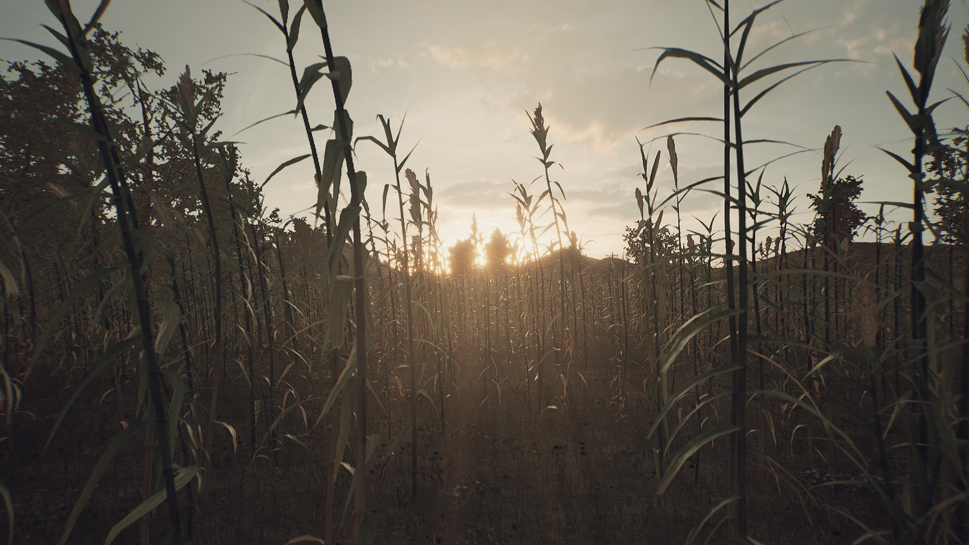 It's Not About The End Screenshot 1