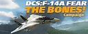 DCS: F-14A Fear the Bones Campaign Screenshot 6