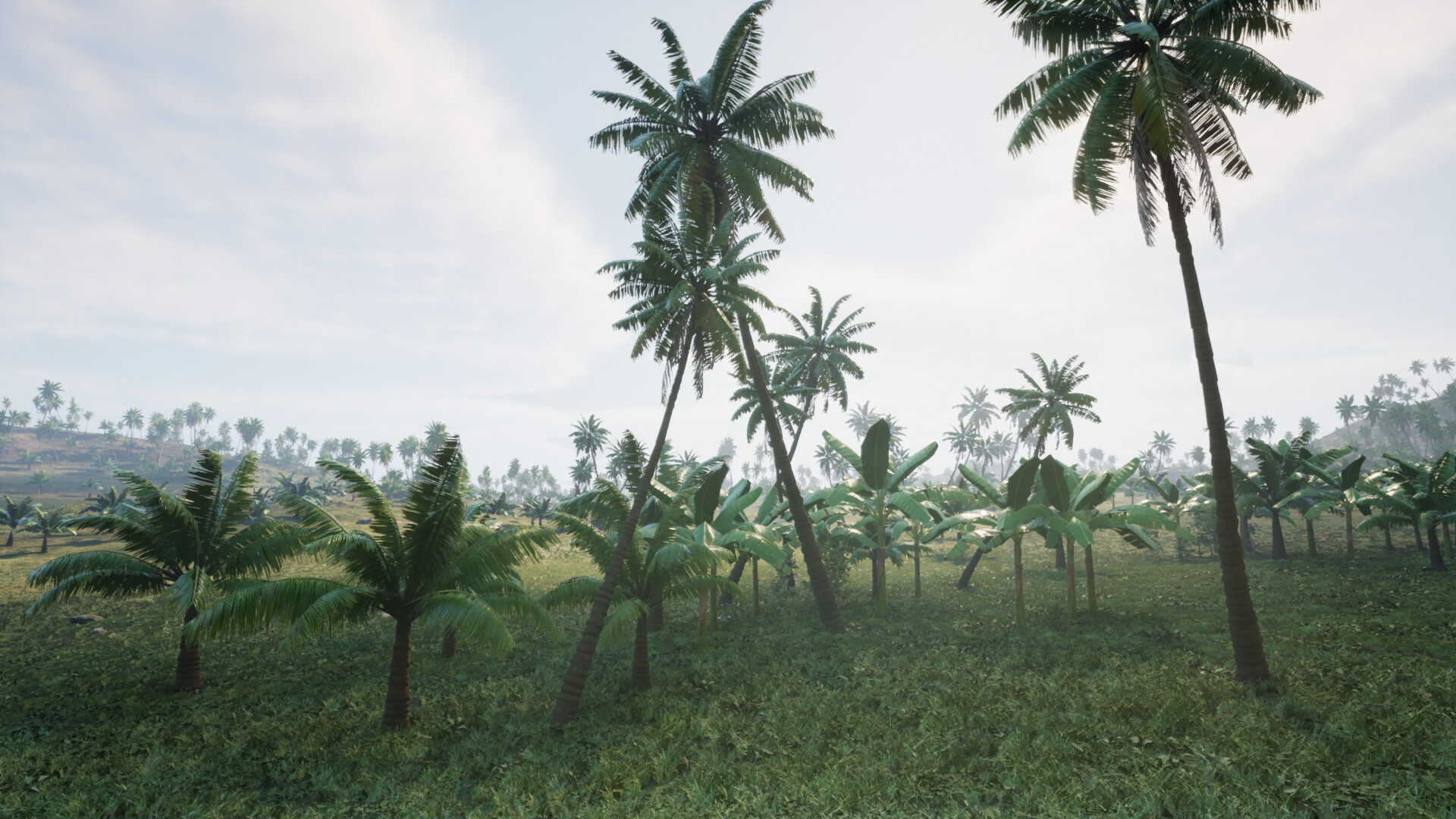 Pirates Journey Screenshot 21