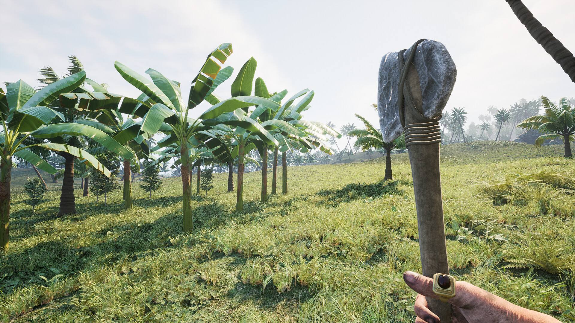 Pirates Journey Screenshot 18