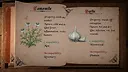 Plague Doctor: Medieval Apothecary Screenshot 5