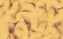 Vizza Screenshot 3