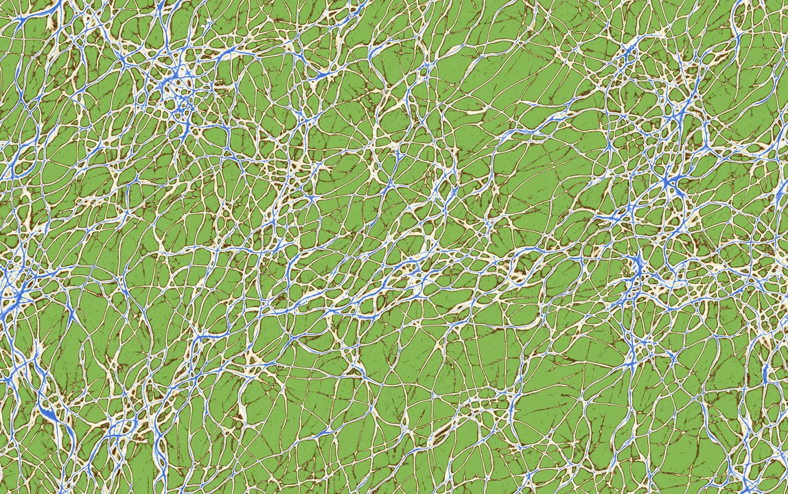 Vizza Screenshot 4