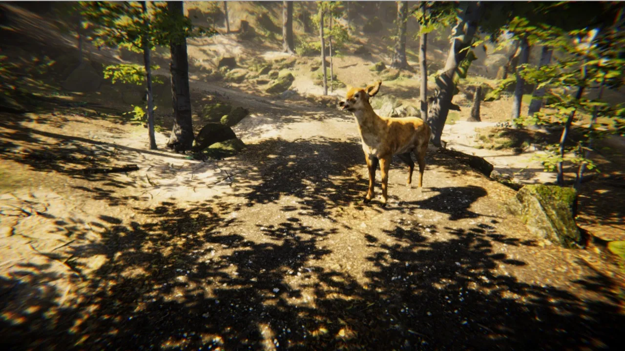 Animal Screenshot 0