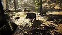 Animal Screenshot 5