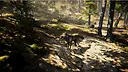 Animal Screenshot 4