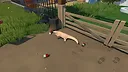 Pangy: Into The City Screenshot 0