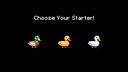 Champions' League for Ducks Screenshot 5