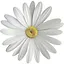 Oopsie-Daisy icon
