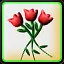 Casanova Naturale icon
