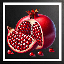 Pomegranate ! icon