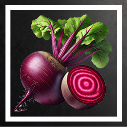 Beetroot ! icon