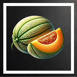 Melon ! icon