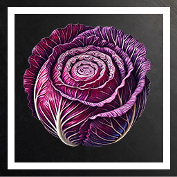 Red Cabbage icon