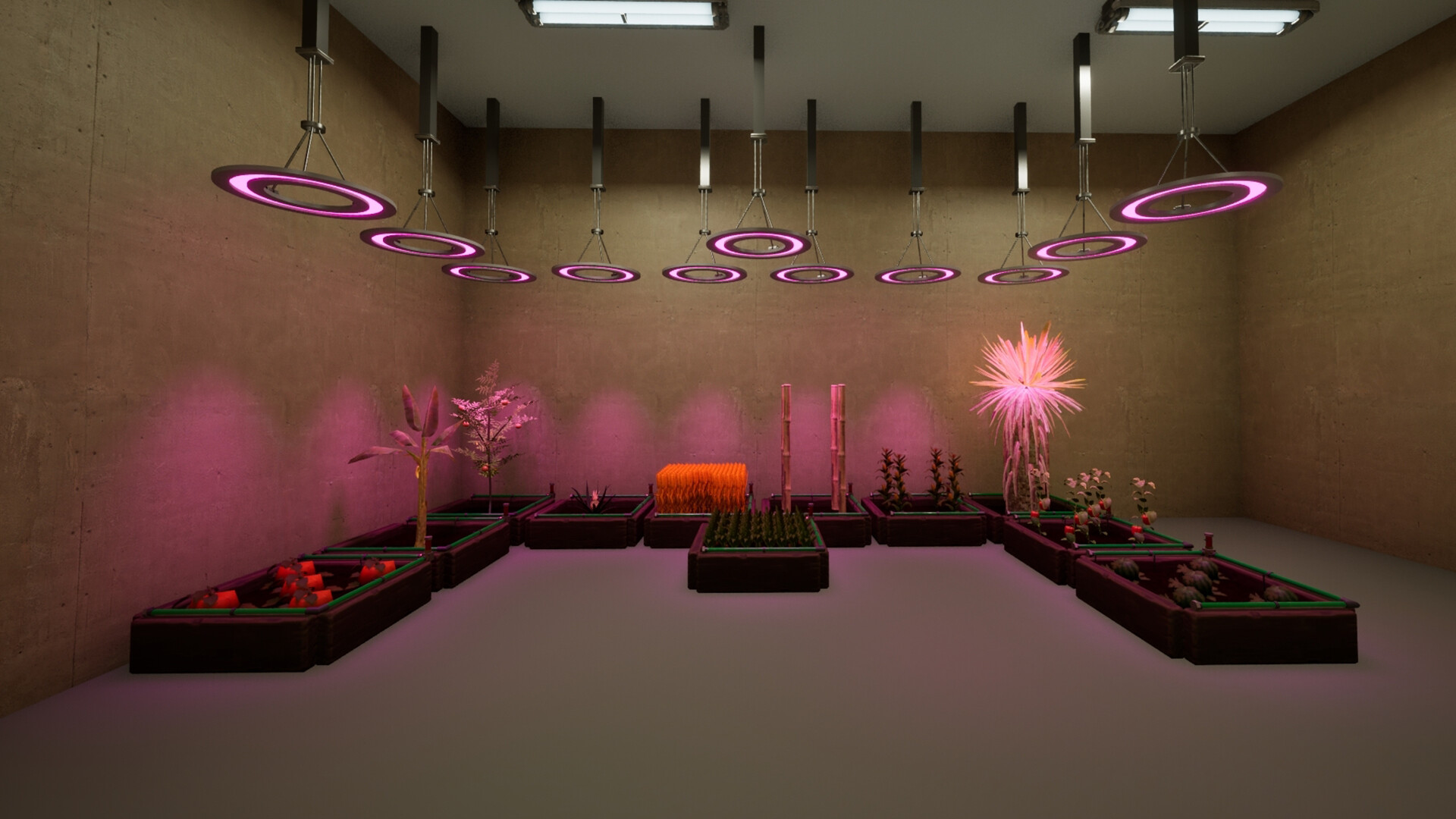 Center Station Simulator Screenshot 3