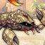 DesertScorpion icon