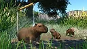 Planet Zoo: Wetlands Animal Pack Screenshot 0