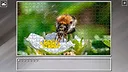 Super Jigsaw Puzzle: Generations - Random Animals 6 Screenshot 6