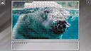 Super Jigsaw Puzzle: Generations - Random Animals 6 Screenshot 1