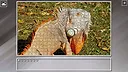 Super Jigsaw Puzzle: Generations - Random Animals 6 Screenshot 17