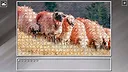 Super Jigsaw Puzzle: Generations - Random Animals 6 Screenshot 4