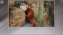Super Jigsaw Puzzle: Generations - Random Animals 6 Screenshot 3