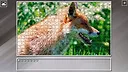 Super Jigsaw Puzzle: Generations - Random Animals 6 Screenshot 9