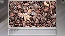 Super Jigsaw Puzzle: Generations - Random 9 Screenshot 8