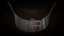 Bighorn Ramone Screenshot 5