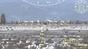 DCS: Combined Arms Screenshot 23