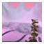 Conc Angel Craters icon