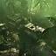 Eastern outpost icon