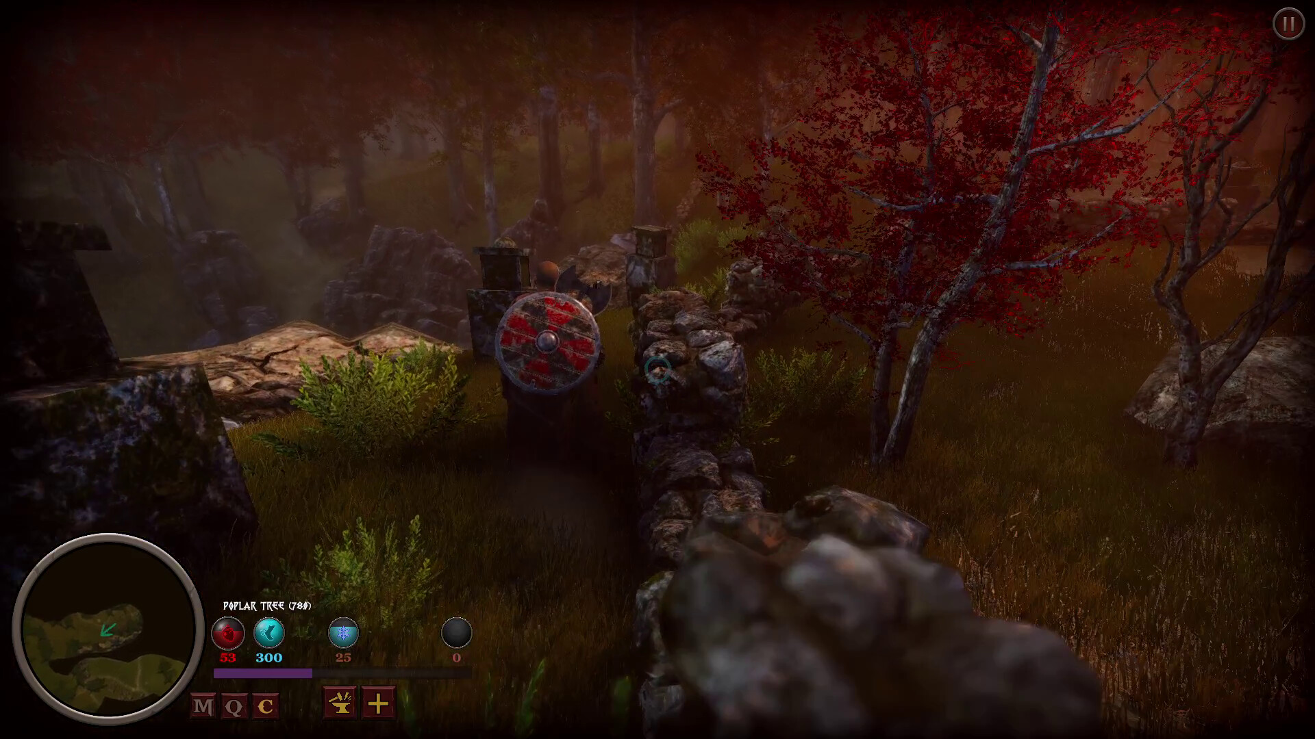 RaiderHeim Screenshot 8