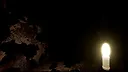Halu - The Fracture Screenshot 2